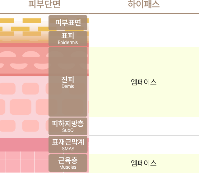 하이패스의 종류에는 엠페이스가 있으며 피부단면의 피부표면,표피(Epidermis),진피(Demis),피하지방층(SubQ),표재근막계(SMAS),근육층(Muscles) 중에서 진피(Demis),근육층(Muscles)에 도달합니다.